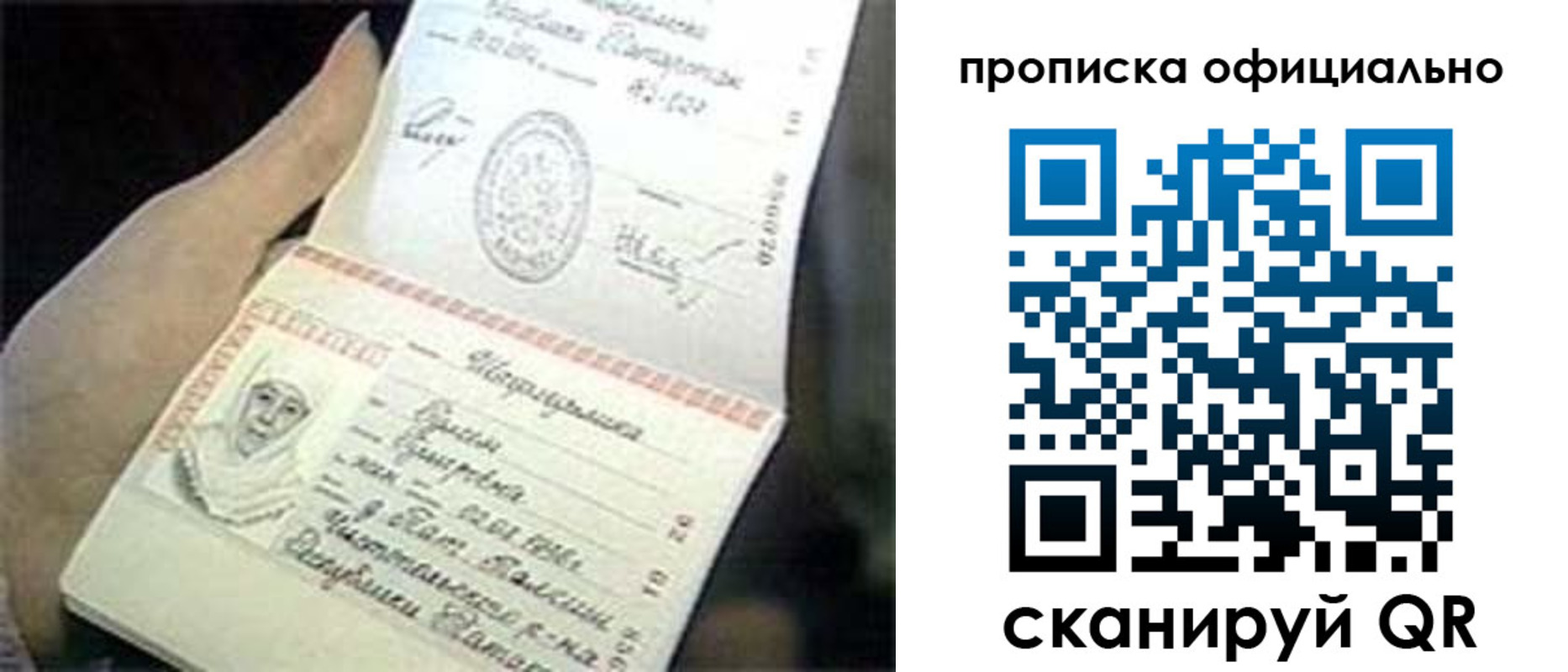 прописка поиск в Светогорске